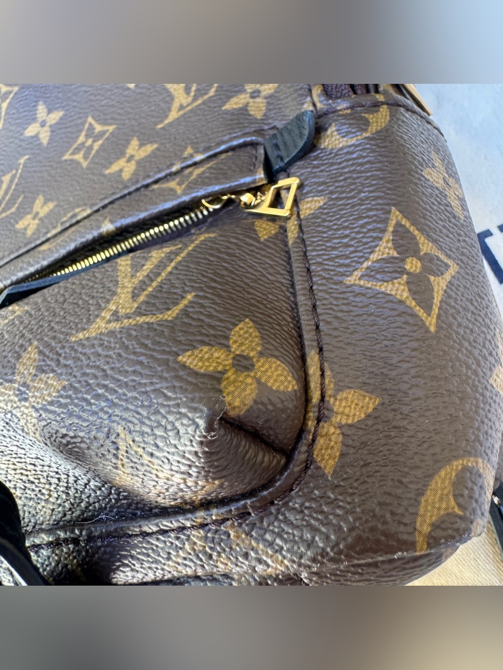 Louis Vuitton Monogram Mini Palm Springs Backpack - Picture 6 of 16